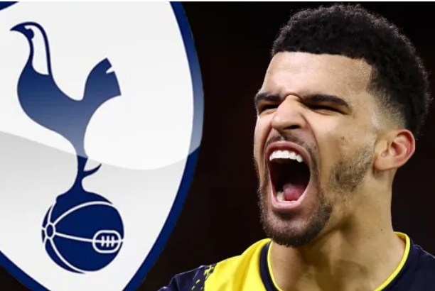 Hatrik menakjubkan Dominic Solanke buat Spurs tak senang duduk